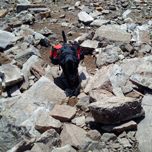 Quandary Peak (48).jpg